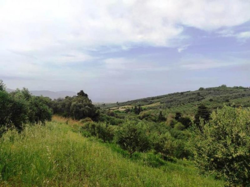 Kastellos bei Kournas Kreta, Kastellos: Grundstück mit Meerblick zu verkaufen Grundstück kaufen